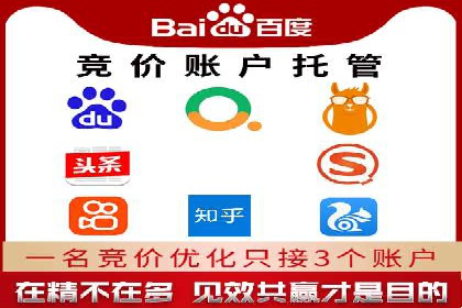SEM外包在提高搜索引擎排名中的应用案例